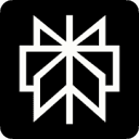 Logotipo Perplexity